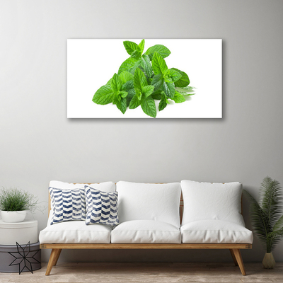 Quadro canvas Planta de Hortelã Natureza