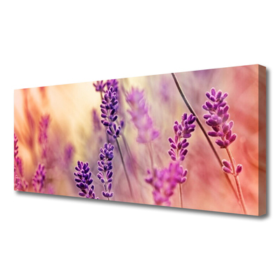 Quadro em tela Flores Planta Natureza
