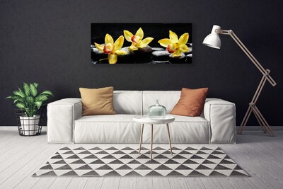 Quadro em tela Planta de orquídea flor