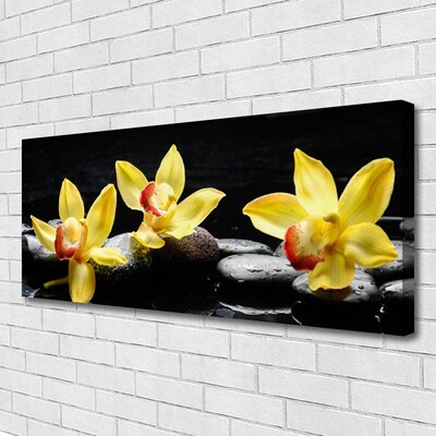 Quadro em tela Planta de orquídea flor