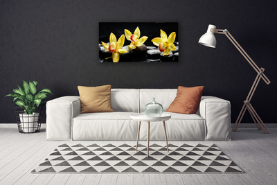 Quadro em tela Planta de orquídea flor