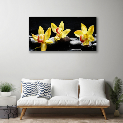 Quadro em tela Planta de orquídea flor