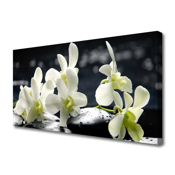 Quadro canvas Planta de orquídea flor