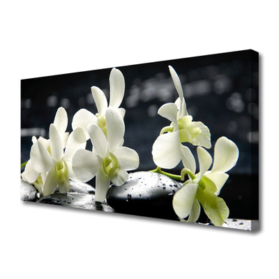 Quadro canvas Planta de orquídea flor
