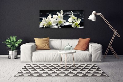 Quadro canvas Planta de orquídea flor