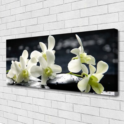Quadro canvas Planta de orquídea flor