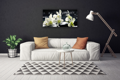 Quadro canvas Planta de orquídea flor