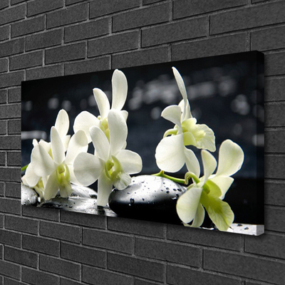 Quadro canvas Planta de orquídea flor