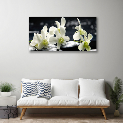 Quadro canvas Planta de orquídea flor