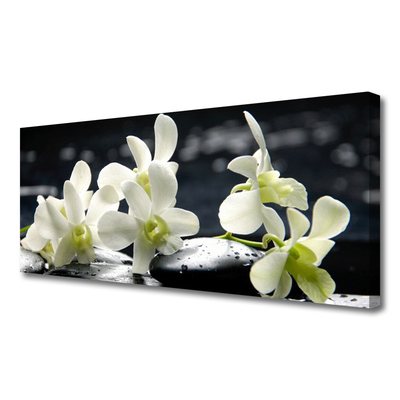 Quadro canvas Planta de orquídea flor