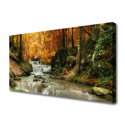 Quadro em tela Cachoeira Floresta Natureza