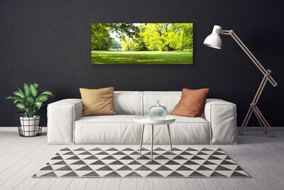 Quadro canvas Parque das Árvores de Grama Natureza