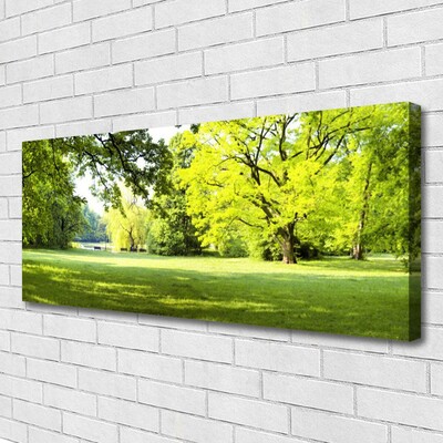 Quadro canvas Parque das Árvores de Grama Natureza