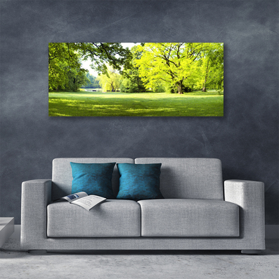 Quadro canvas Parque das Árvores de Grama Natureza