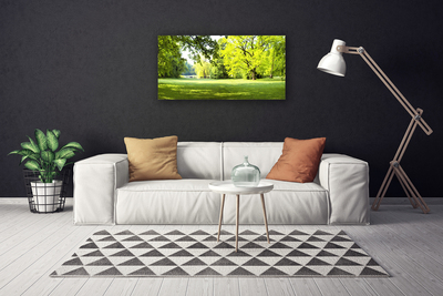 Quadro canvas Parque das Árvores de Grama Natureza