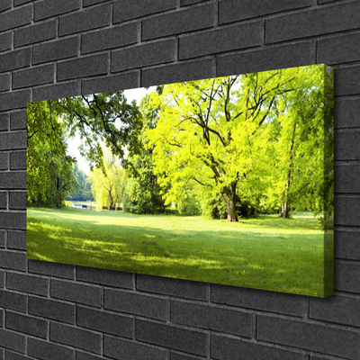 Quadro canvas Parque das Árvores de Grama Natureza