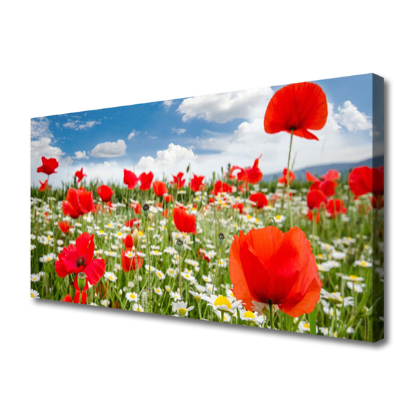 Quadro canvas Flores do Prado Natureza