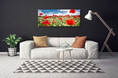 Quadro canvas Flores do Prado Natureza