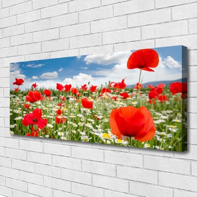 Quadro canvas Flores do Prado Natureza