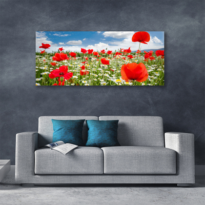 Quadro canvas Flores do Prado Natureza