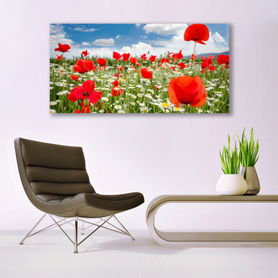 Quadro canvas Flores do Prado Natureza