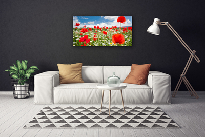 Quadro canvas Flores do Prado Natureza