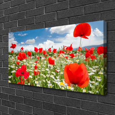 Quadro canvas Flores do Prado Natureza