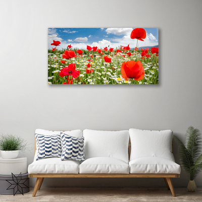 Quadro canvas Flores do Prado Natureza