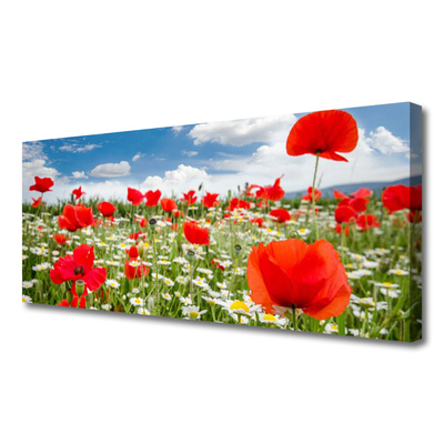 Quadro canvas Flores do Prado Natureza