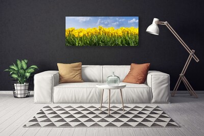 Quadro em tela Tulipas Flores Planta