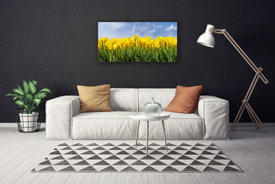 Quadro em tela Tulipas Flores Planta