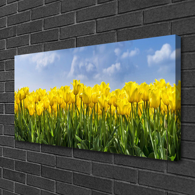 Quadro em tela Tulipas Flores Planta