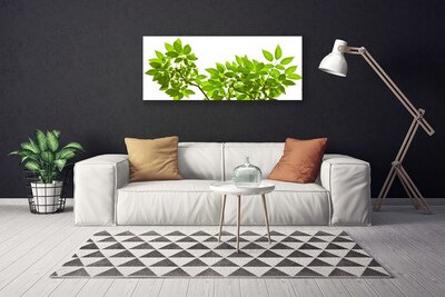 Quadro canvas Ramo Folhas Planta Natureza
