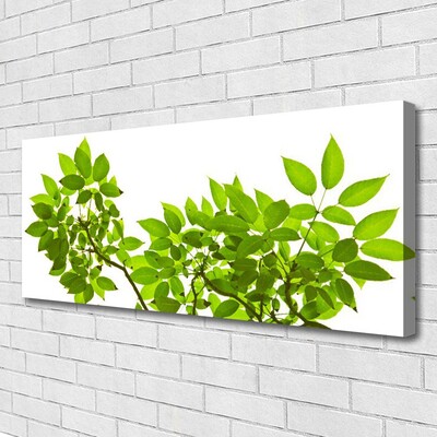 Quadro canvas Ramo Folhas Planta Natureza