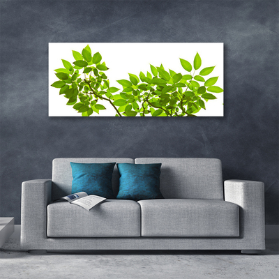 Quadro canvas Ramo Folhas Planta Natureza