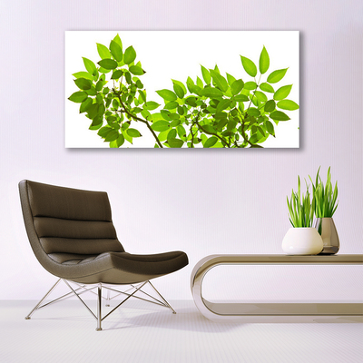 Quadro canvas Ramo Folhas Planta Natureza