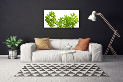 Quadro canvas Ramo Folhas Planta Natureza