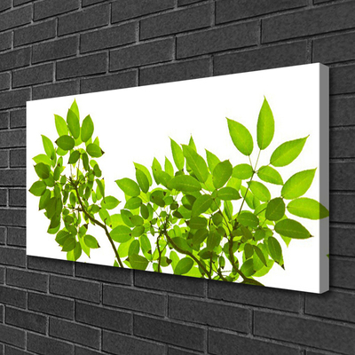 Quadro canvas Ramo Folhas Planta Natureza
