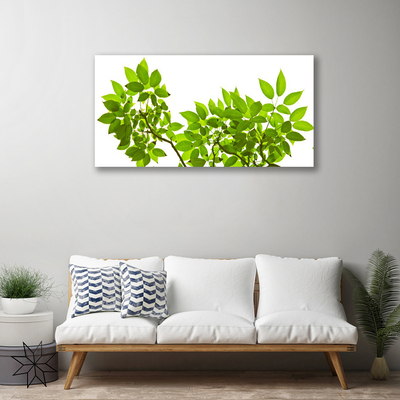 Quadro canvas Ramo Folhas Planta Natureza