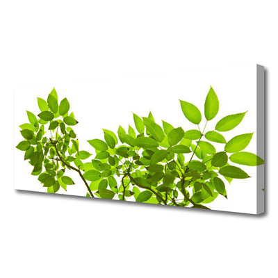 Quadro canvas Ramo Folhas Planta Natureza