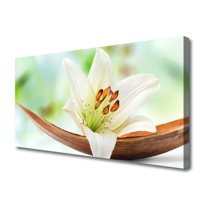 Quadro em tela Flor Planta Natureza