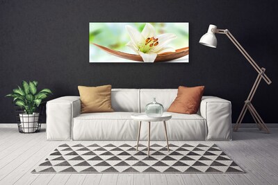 Quadro em tela Flor Planta Natureza