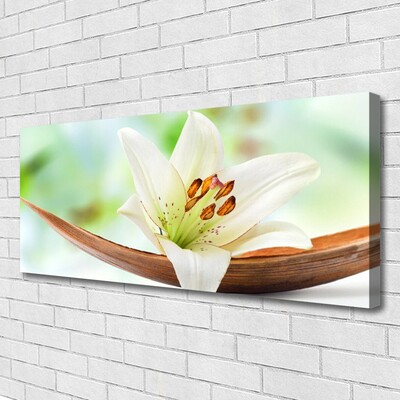 Quadro em tela Flor Planta Natureza
