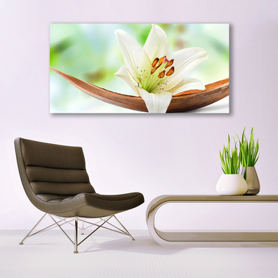 Quadro em tela Flor Planta Natureza