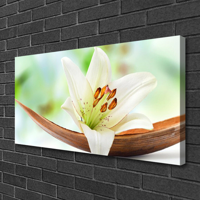 Quadro em tela Flor Planta Natureza