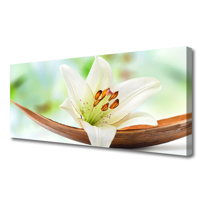 Quadro em tela Flor Planta Natureza
