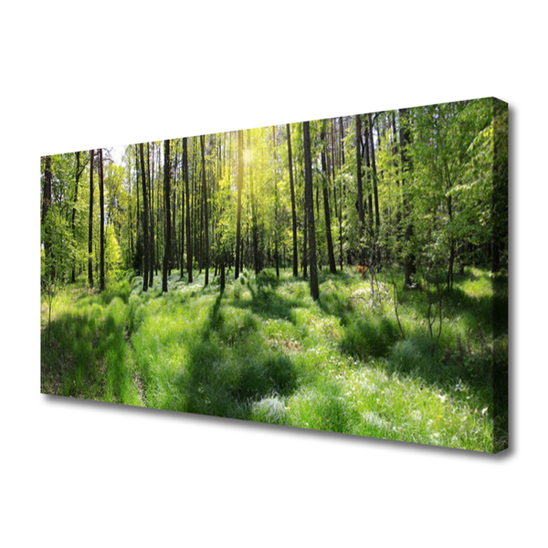 Quadro em tela Planta de grama florestal Natureza
