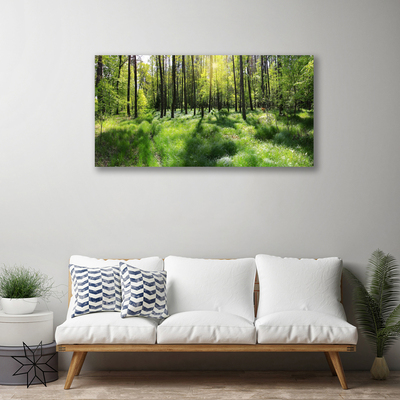 Quadro em tela Planta de grama florestal Natureza