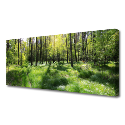 Quadro em tela Planta de grama florestal Natureza