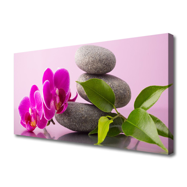 Quadro canvas Flor Orquídea Planta Zen